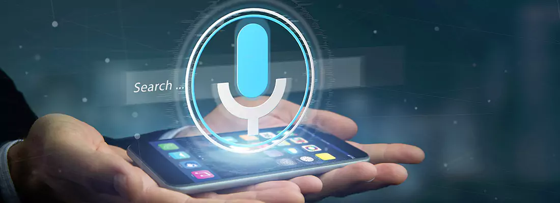 Enhance Security with Voice Recognition Access Systems in Midway, FL